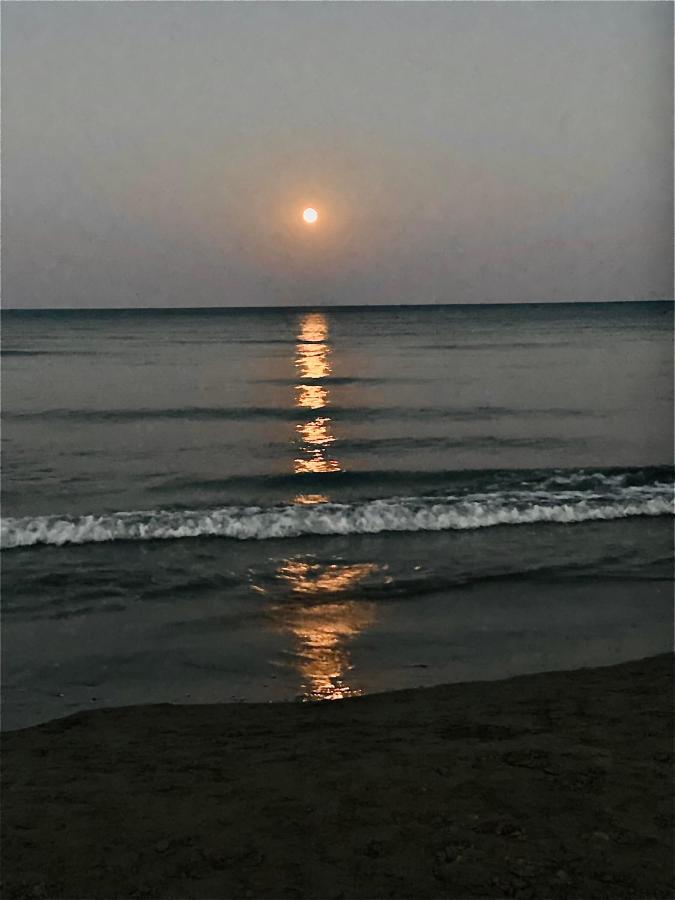Bali Suites 101 لارنكا المظهر الخارجي الصورة